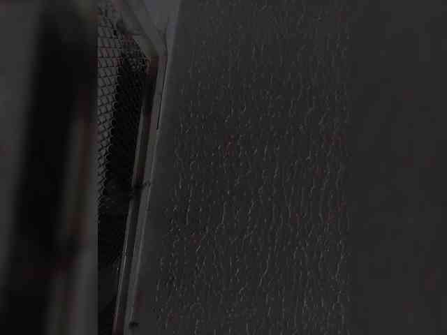 chat live Sidgy592