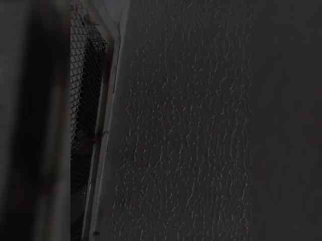 sidgy592 webcam