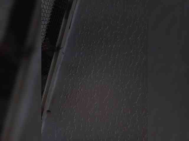 sidgy592 webcam
