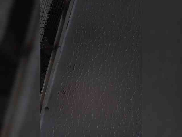 sidgy592 webcam