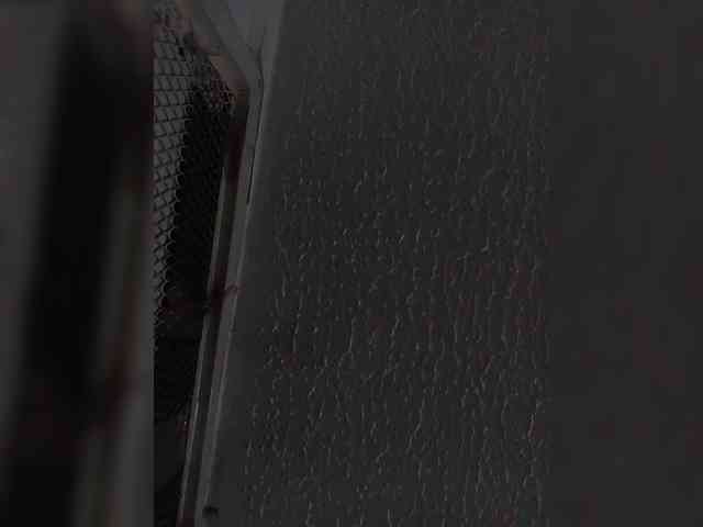 sidgy592 webcam