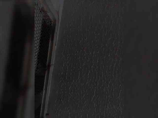 sidgy592 webcam