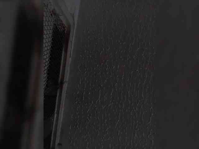 sidgy592 webcam