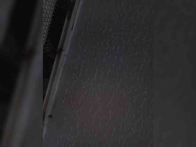 sidgy592 webcam