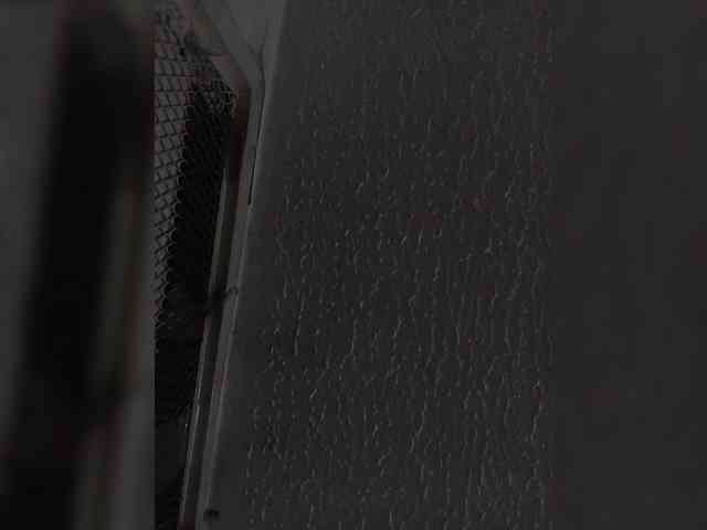 voyeur live Sidgy592