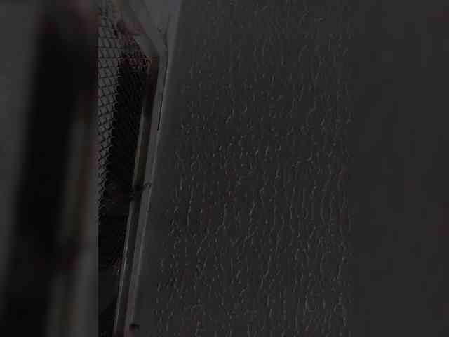 sidgy592 webcam