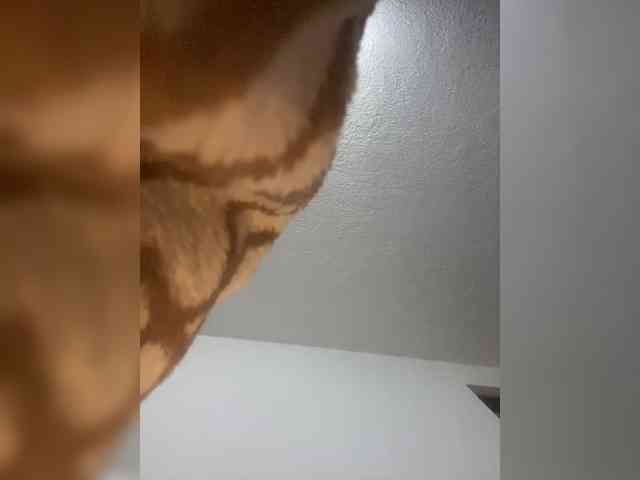 sidgy592 webcam