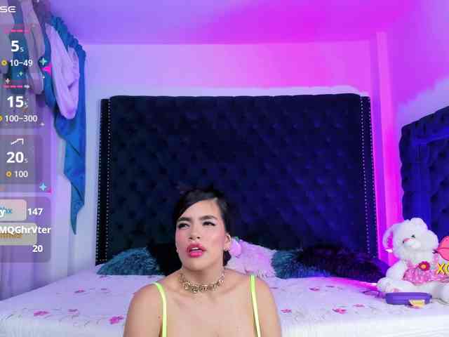 Nikolsmith webcam