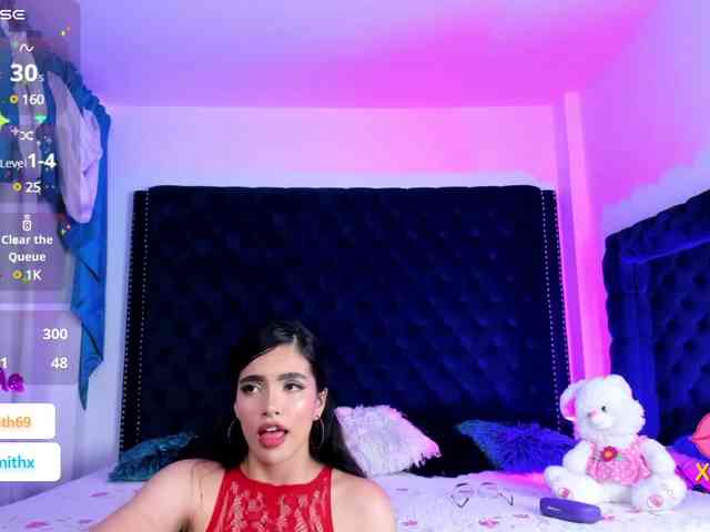 Nikolsmith webcam
