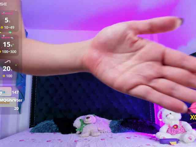 Nikolsmith webcam