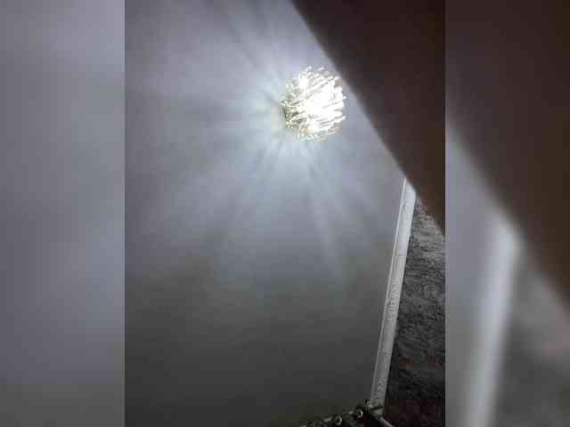 Taniachan webcam