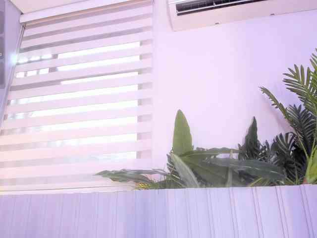 stephanymonro webcam