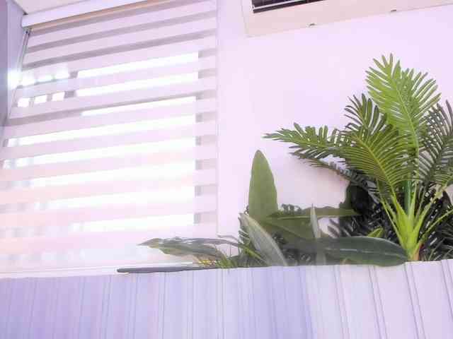 stephanymonro webcam