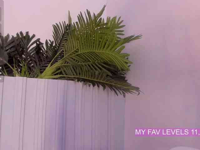 stephanymonro webcam