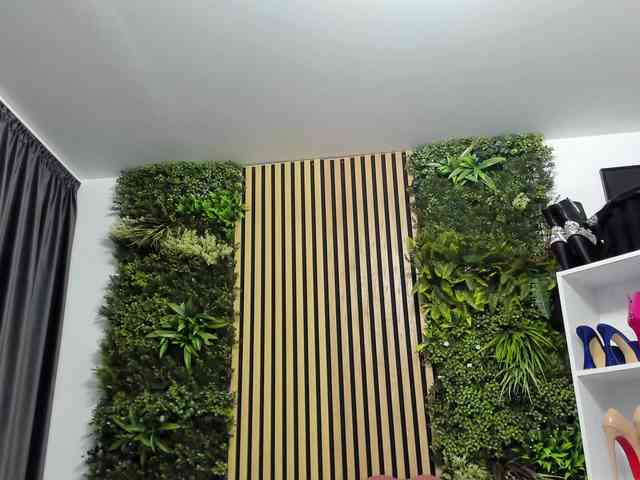 Sweetcherry30 webcam