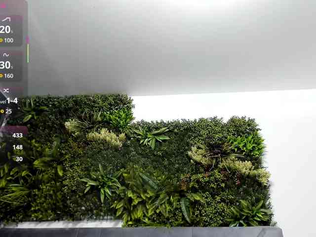 Sweetcherry30