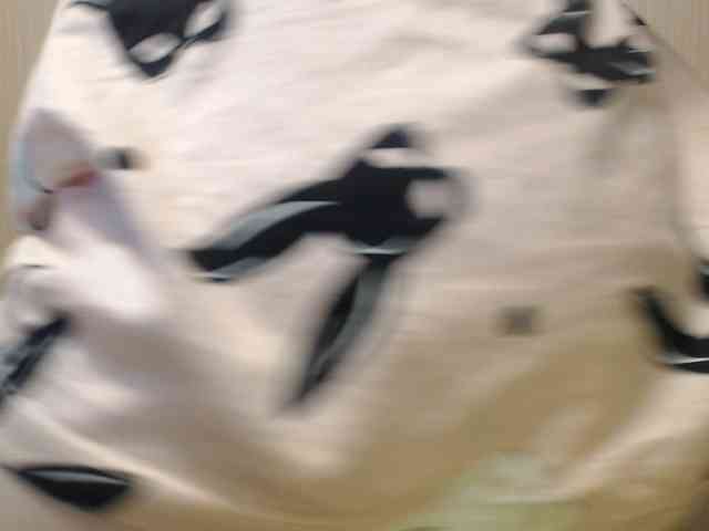 MyP_MyP webcam