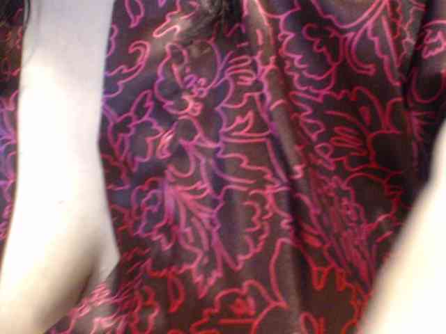 MyP_MyP webcam