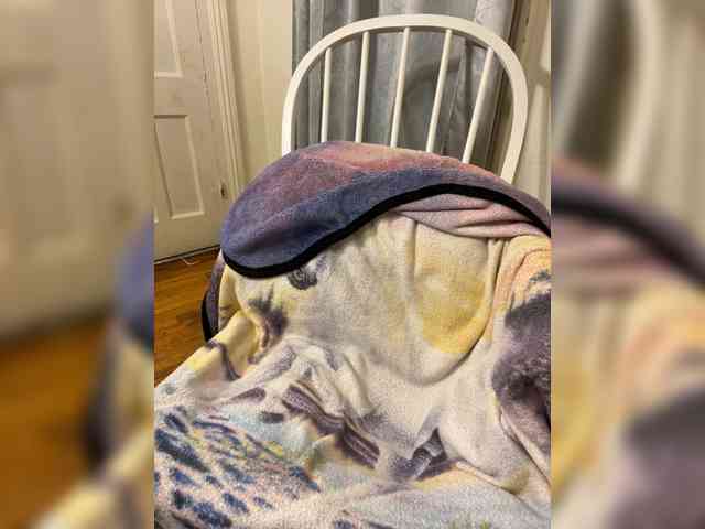 Sexyred3141-1 Sexyred3141-1