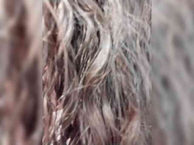 Sexyred3141-1 webcam