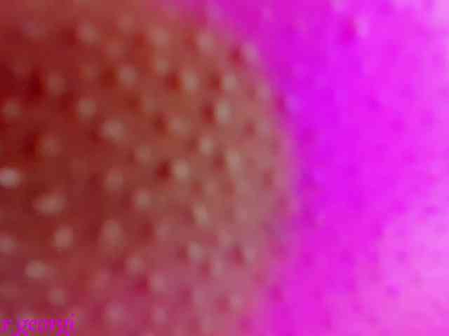 jessikaa_rabbit webcam