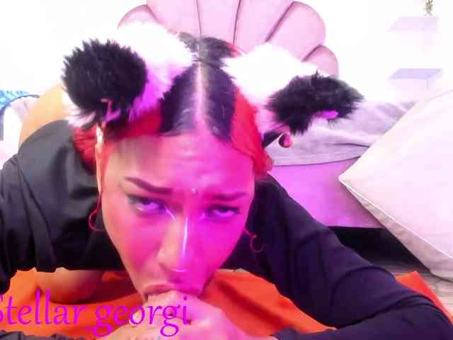 jessikaa_rabbit webcam