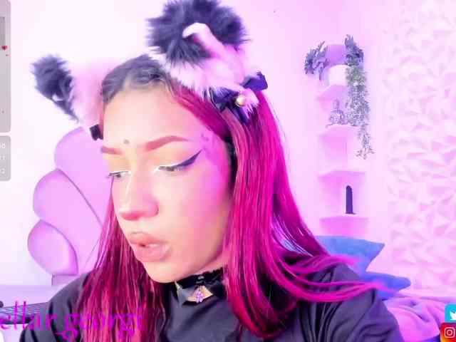 jessikaa_rabbit webcam