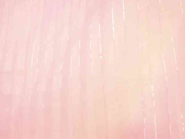 Palaceofsex Live Webcam on BongaCams