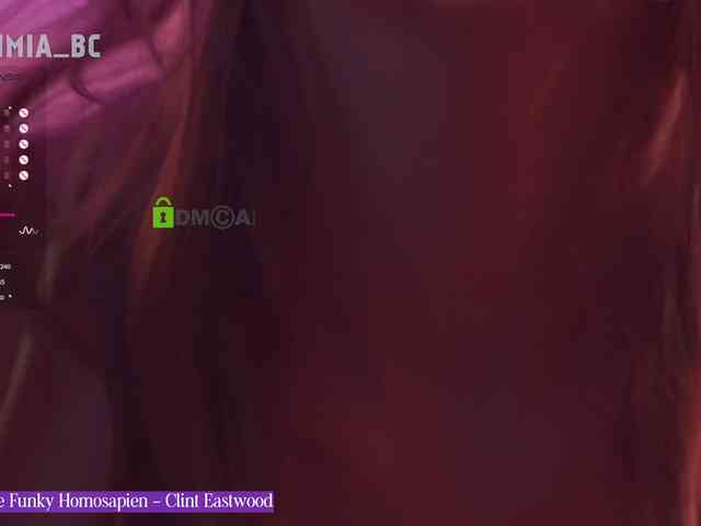 SashiMia webcam