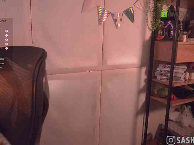 SashiMia webcam