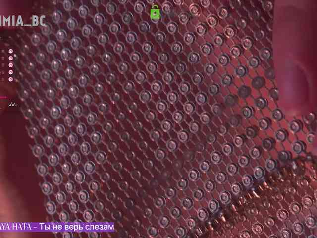 SashiMia webcam