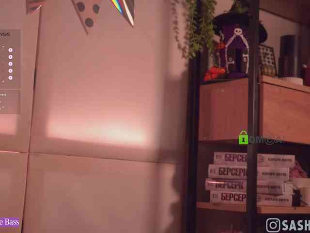 SashiMia webcam