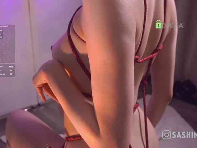 SashiMia webcam