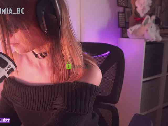 SashiMia webcam