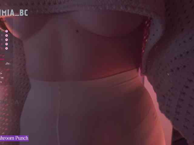 SashiMia webcam