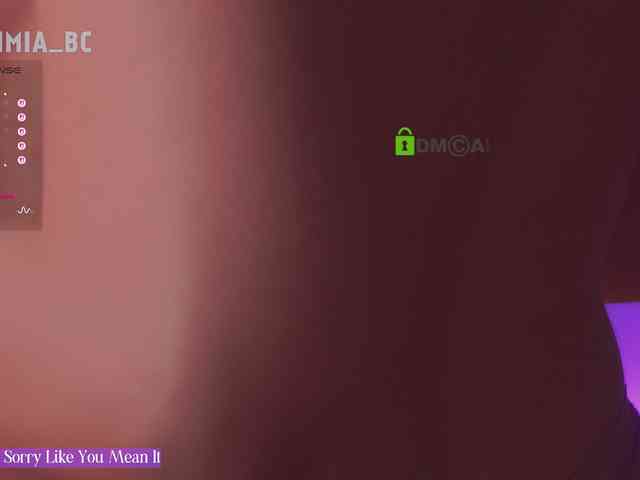 SashiMia webcam
