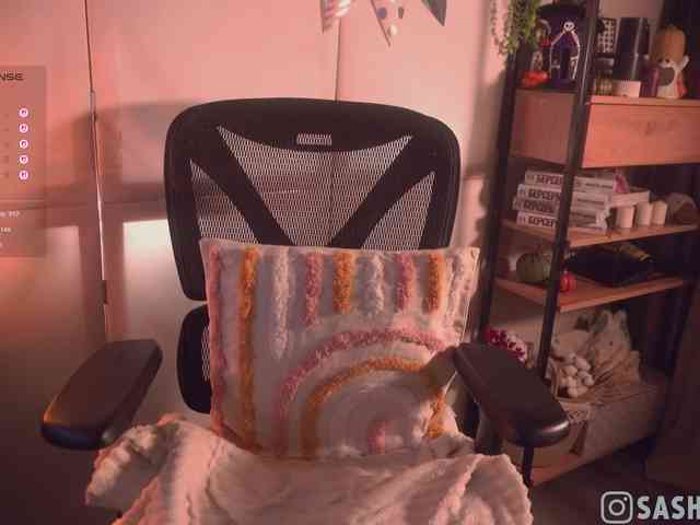 SashiMia webcam