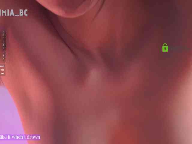 SashiMia webcam