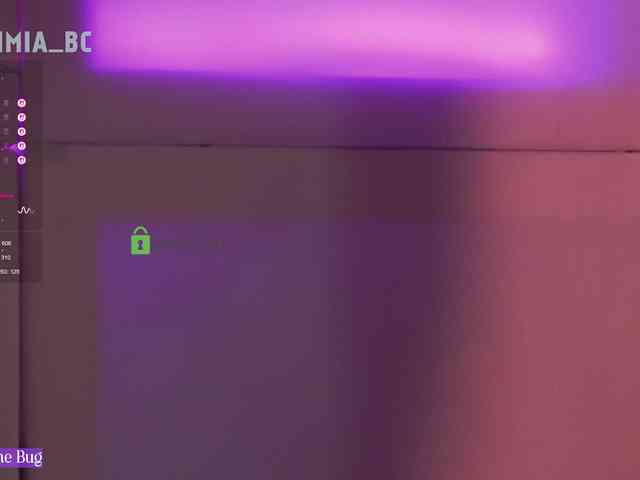 SashiMia webcam