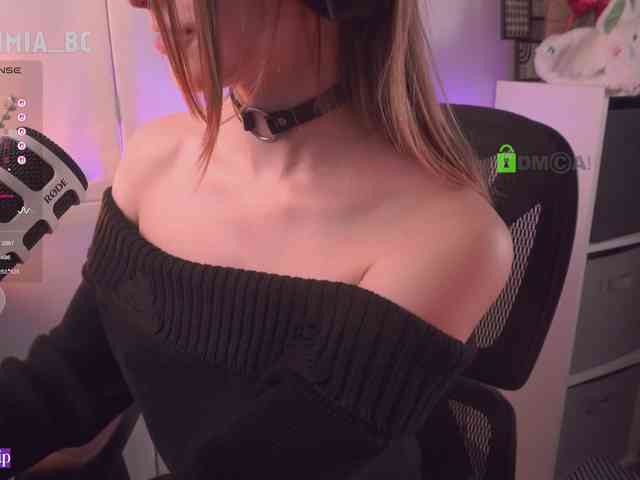 SashiMia webcam
