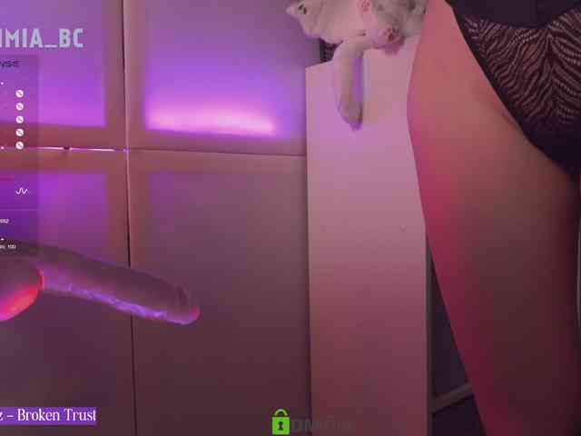 SashiMia webcam