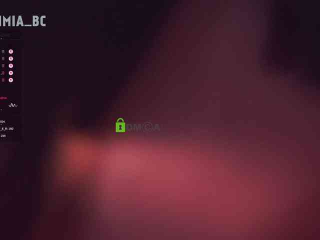 SashiMia webcam