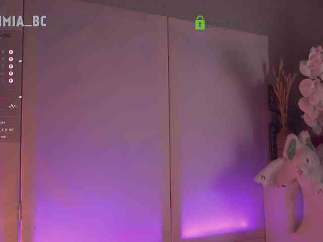 SashiMia webcam