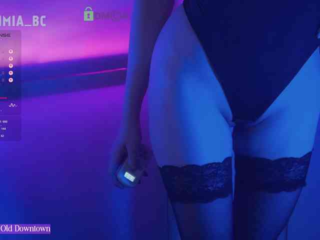 SashiMia webcam