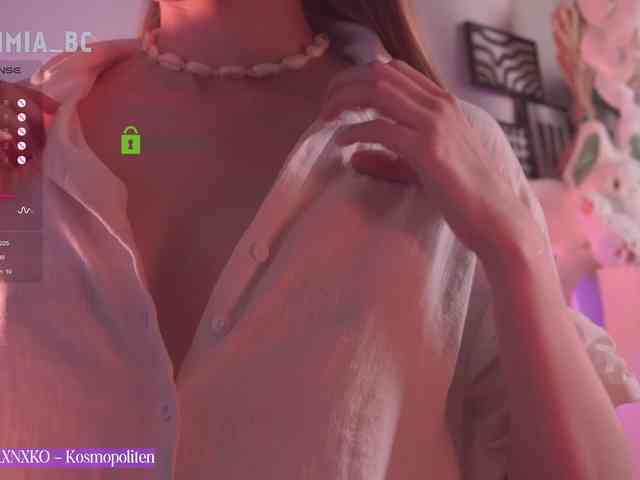 SashiMia webcam
