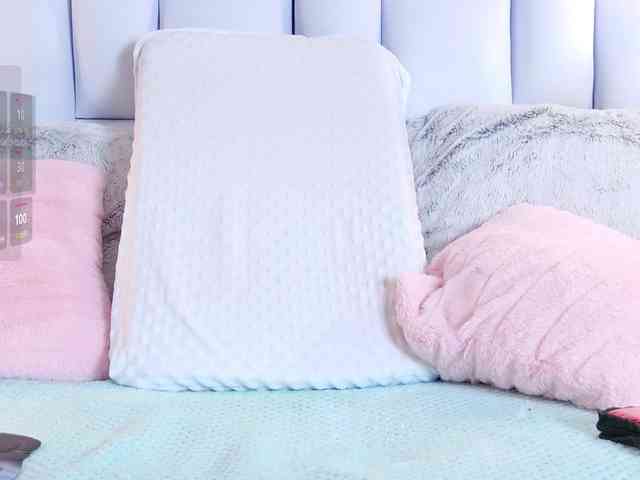 IrisRoss webcam