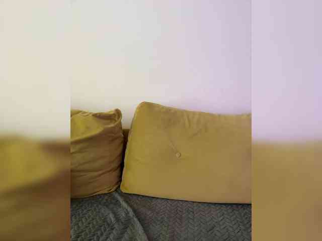 KatyaLab webcam