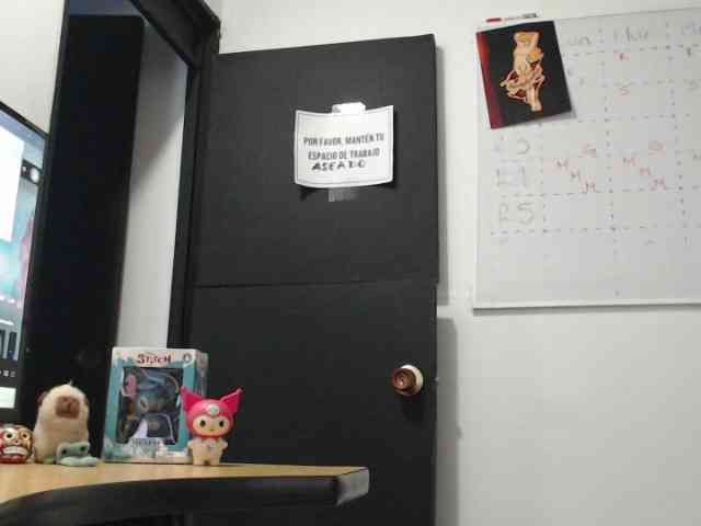 kuromii-chang webcam