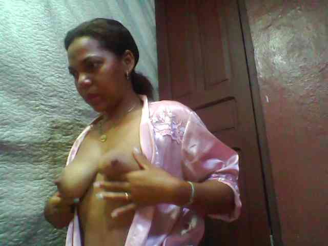 Carrollina Carrollina