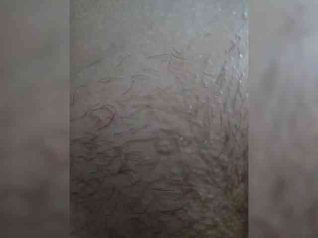 Slipsy696 webcam